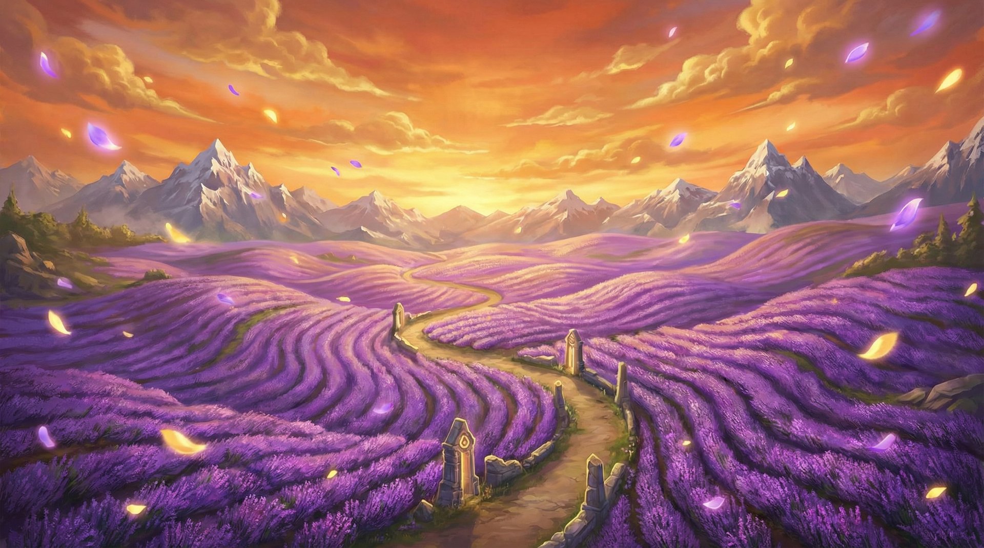 青柠视频薰衣草花海航拍植物视频